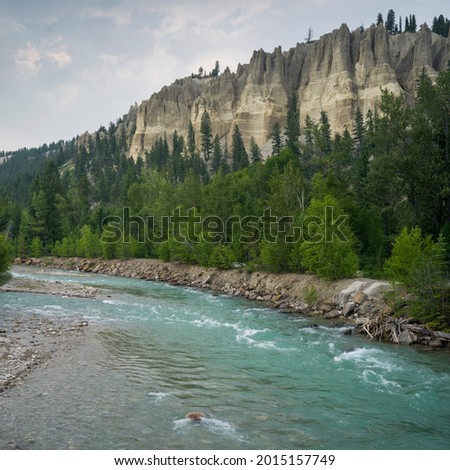 River flowing through forest, Kootenay River, East Kootenay G, British Columbia, Canada Royalty-Free Stock Photo #2015157749