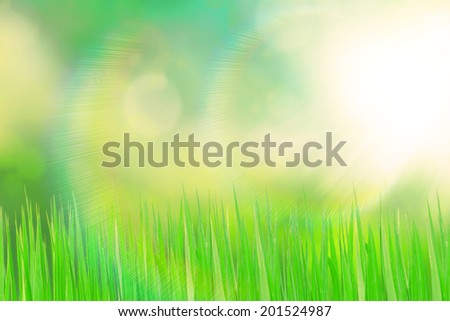 Green grassland and sunlight