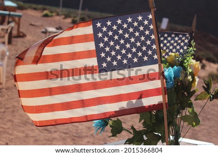 This picture is off the American flag with some flowers in the background 