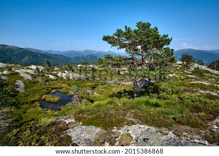 Wonderful scenery. Ascent of Mount Geitfjellet in Alver municipality, Norway on a hot day in July
