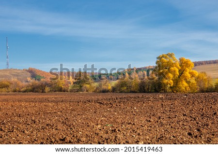 Autumn landscape, deciduous trees covered with multi-colored yellow red leaves, the ground is plowed for the winter season, the sad time of the eyes is enchantment