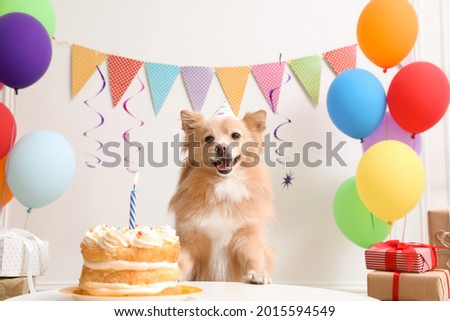 Cute dog wearing party hat at table with delicious birthday cake in decorated room