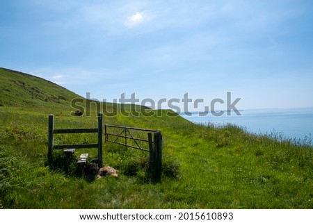 a useless gate on the coast path in ceredigion in a bright green field and the sea in the background on a sunny day Royalty-Free Stock Photo #2015610893