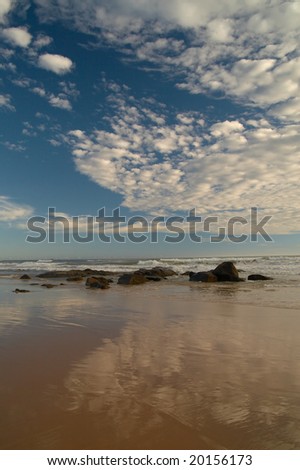 Sandy beach on Srilanka.