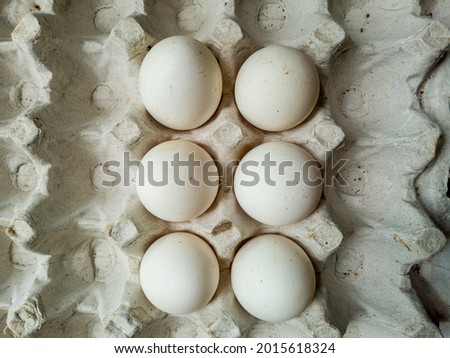 white chicken eggs on cartoon box.six eggs