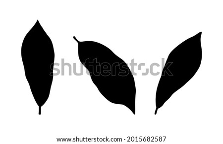 Black leaves set on white background