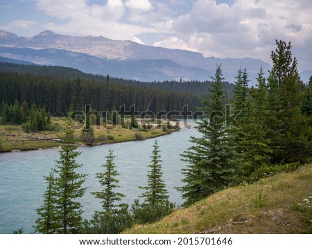 River flowing through forest, East Kootenay, British Columbia, Canada Royalty-Free Stock Photo #2015701646