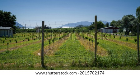 Fence around a garden, East Kootenay, British Columbia, Canada Royalty-Free Stock Photo #2015702174