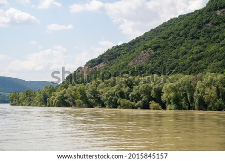 High water levels of Danube. Flooded trees at the river bank. Picture taken from a boat.