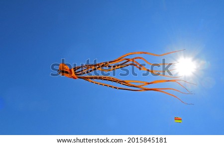 Octopus Kite against blue sky with sun 