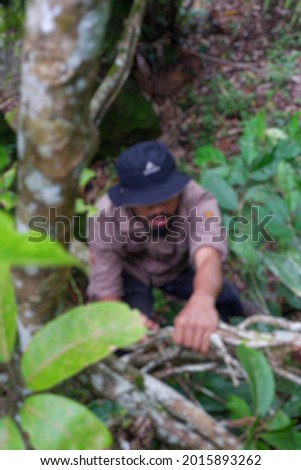 Blur photo of Asian people in the pine forest enjoying the natural atmosphere