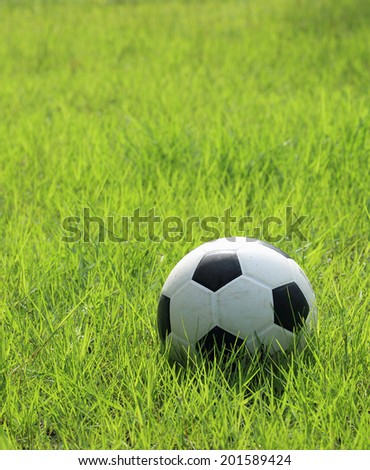 Soccer ball on green field 