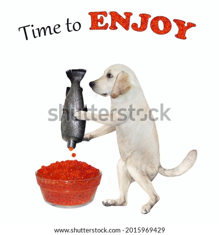 A dog labrador is squeezing red caviar into a glass bowl. Time to enjoy. White background. Isolated.