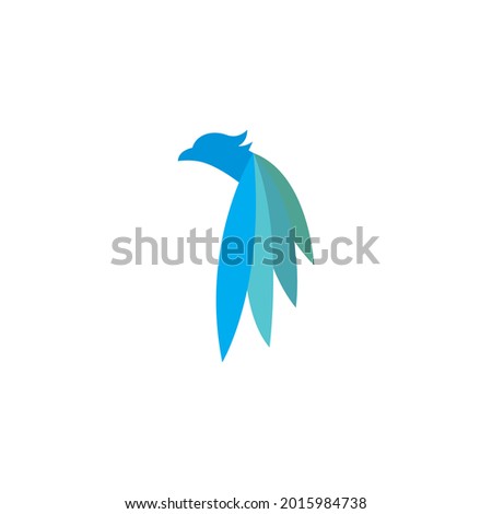 
bird logo design and bird wings