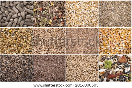 composite picture of cereals for animal food