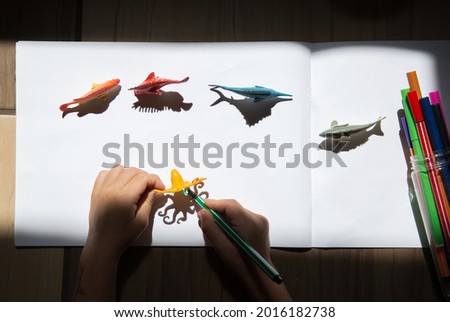 child draws contrasting interesting shadows from toy figures of animals of water world along contour with felt-tip pen. creative ideas for children's creativity. Interesting activities for children