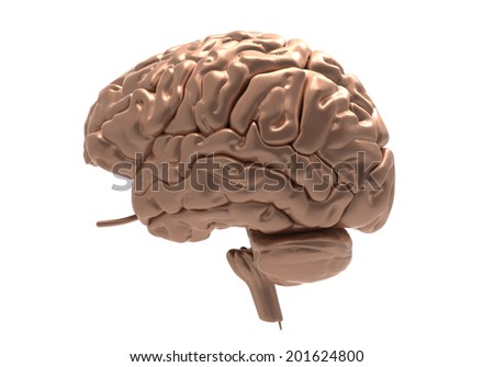 metallic brain on white background with clipping mask 