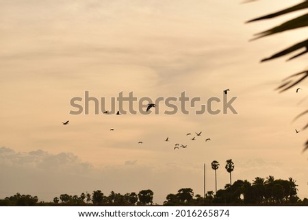 A silhouette picture of ducks fly against sun
