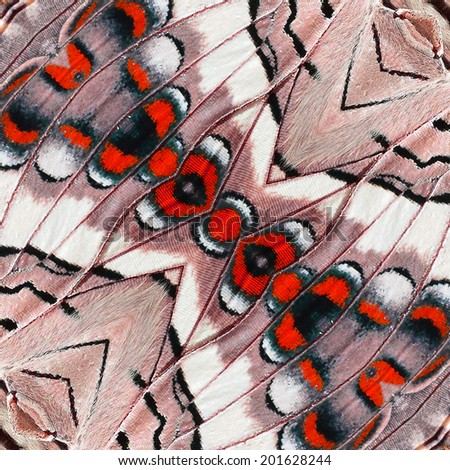 Seamless pattern made from butterfly wing . background texture