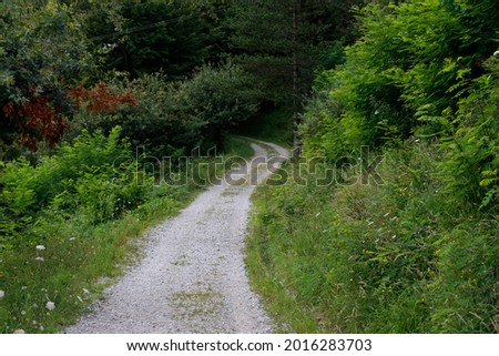 Path in the forest of Basque Country