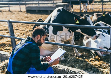 Young farmer is working on farm with dairy cows. Agriculture industry, farming. Royalty-Free Stock Photo #2016287435