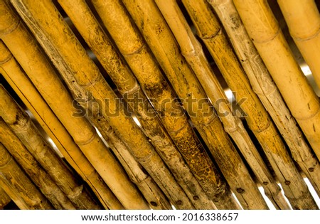 handmade roof made of Brazilian bamboo