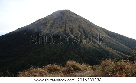 The Landscape of mount Sindoro