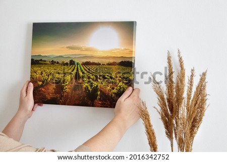Canvas print with gallery wrap and dry grass interior decor. Woman hangs landscape photography on white wall. Hands holding photo canvas print with image of vineyard