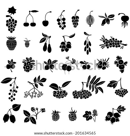 Silhouette black-and-white image of berries set  Royalty-Free Stock Photo #201634565