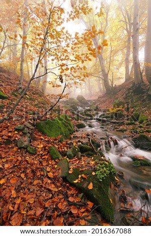 vertical autumn scenery, scenic autumn landscape  in Europe, beautiful autumn view in forest with waterfall at morning sunlight