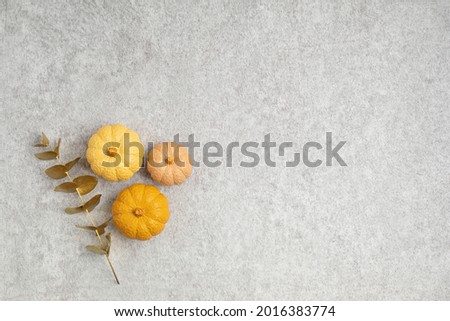 Collection of handmade plaster pumpkins. Autumn seasonal holidays background