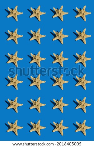 Pattern of starfishes on blue background. Summer print. Design for wrapping paper, fabrics, covers and cards. Seamless pattern for wallpaper, background and textile. Sea life macro
