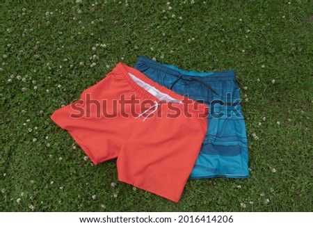 Men's swimming trunks on the grass. Blue and red Royalty-Free Stock Photo #2016414206