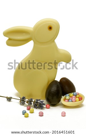 Chocolate bunny handmade from white chocolate, arranged with chocolate eggs, isolated on a white background. Easter background.