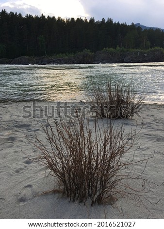 Altay river photo natural style. Landscape for your banner on your text. Copy space, mock up. Siberian pictures gray nature.