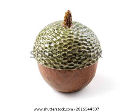 Beautiful brown acorn on white background. Oak nut. Handmade Ceramic acorn with Cap. Ready to Use and Sell.