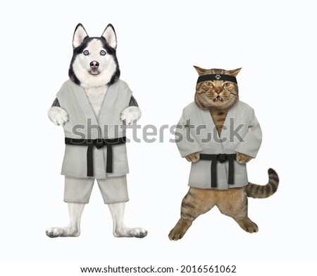 A dog husky and a beige cat are karate athletes in kimono. White background. Isolated.