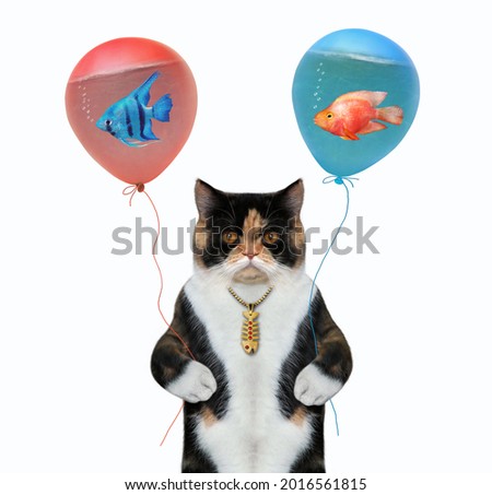 A colored cat holds balloons with water. Inside them are aquarium fish. White background. Isolated.