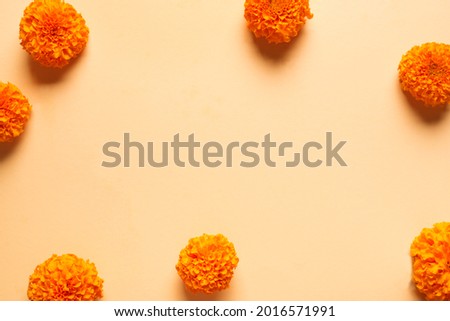 Marigold yellow flowers on orange pastel background, creative flat lay, copy space. Chinese mid autumn festival concept with marigolds.