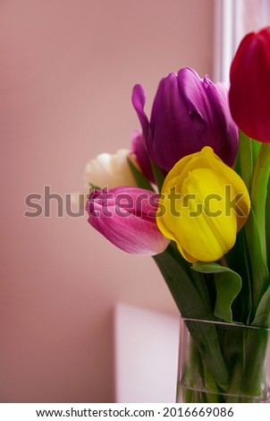 Spring tulip flowers in vase