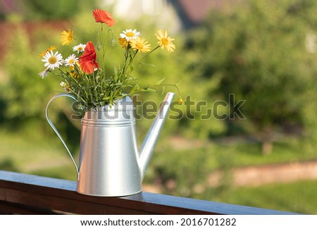A bouquet of red poppies and daisies in a metal watering can. Summer floral background. Copy space