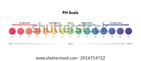 Ph scale infographic. Vector flat healthcare illustration. Color meter with number and text from strongle acidic to alkaline. Design for pharmacy, health care, cosmetology Royalty-Free Stock Photo #2016714722