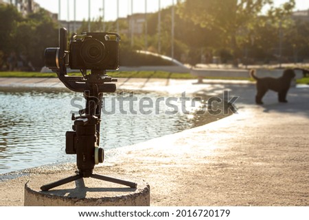 Photograph of a gimbal at sunset in a park with a dog in the background. Audiovisual y video concept