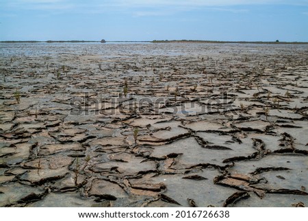 
sandy soil cracked by time