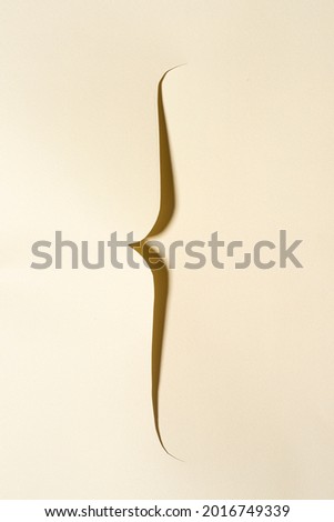 the brace cut on a sheet of paper