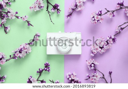 White camera with beautiful flowering branches on colored pastel background. Minimal concept. Flat lay, top view