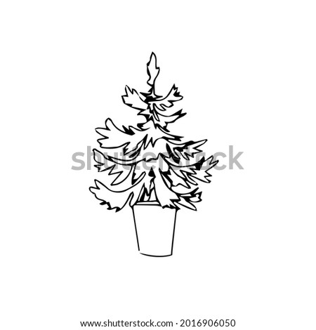 hand drawn illustrations of christmas trees. Vector doodles for your design, cards, Christmas posters. Isolated on white background