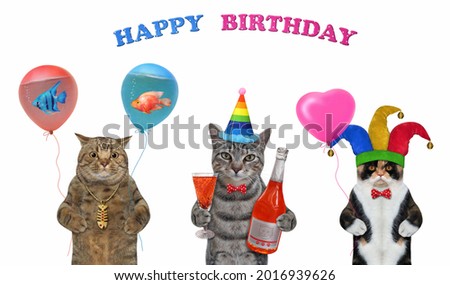 Three cats are celebrating a birthday. White background. Isolated.
