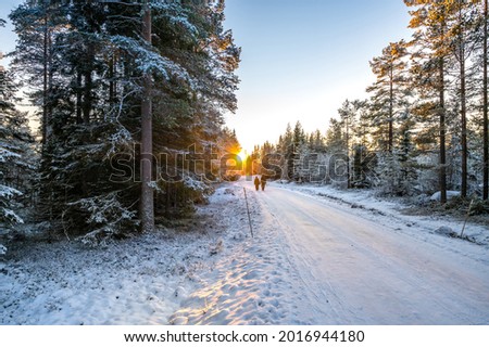 A calm tranquil view of the snow covered trees in the snowdrifts and beautiful sunset. A beautiful woman in coloured jacket walking through the Magical winter forest. Natural landscape.