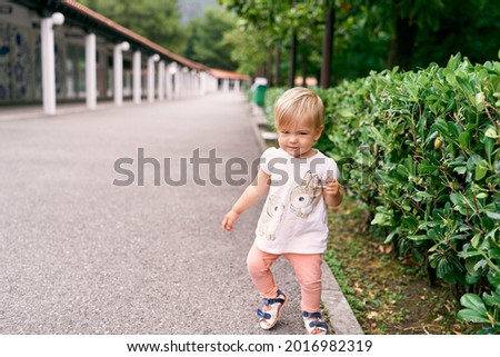 Little girl walks on an asphalt road past magnolia bushes in a green park